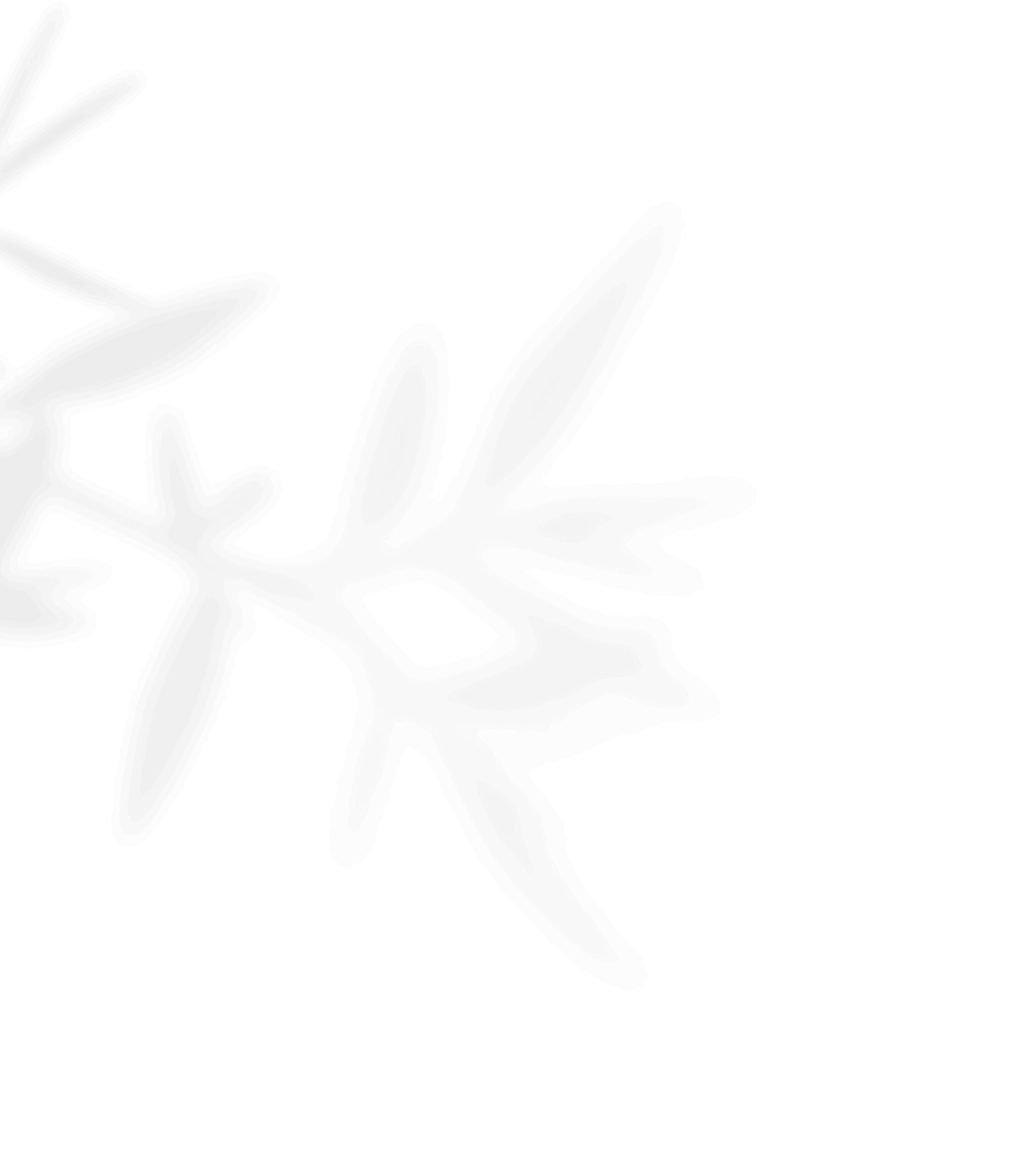 https://raqueltyler.com/wp-content/uploads/2020/11/shadow_leaves_01.png