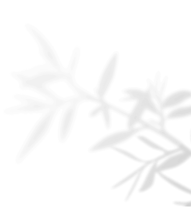 https://raqueltyler.com/wp-content/uploads/2020/11/shadow_leaves_04.png