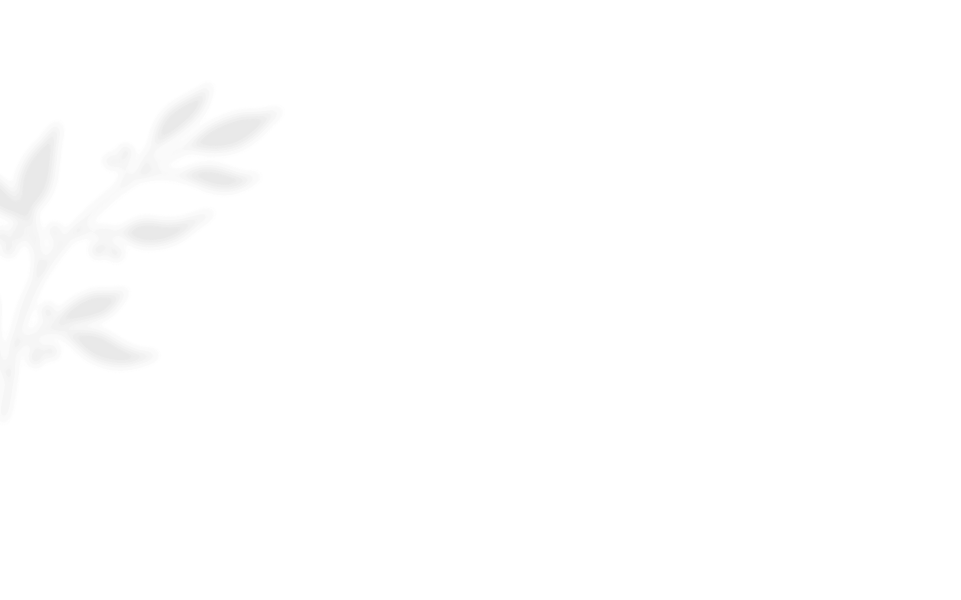 https://raqueltyler.com/wp-content/uploads/2020/12/shadow_leaves_01.png